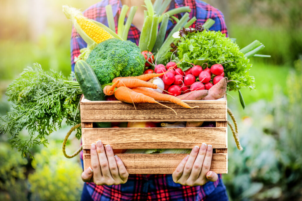 WholeisticDish_Whole Food Plant Based_Vegetables