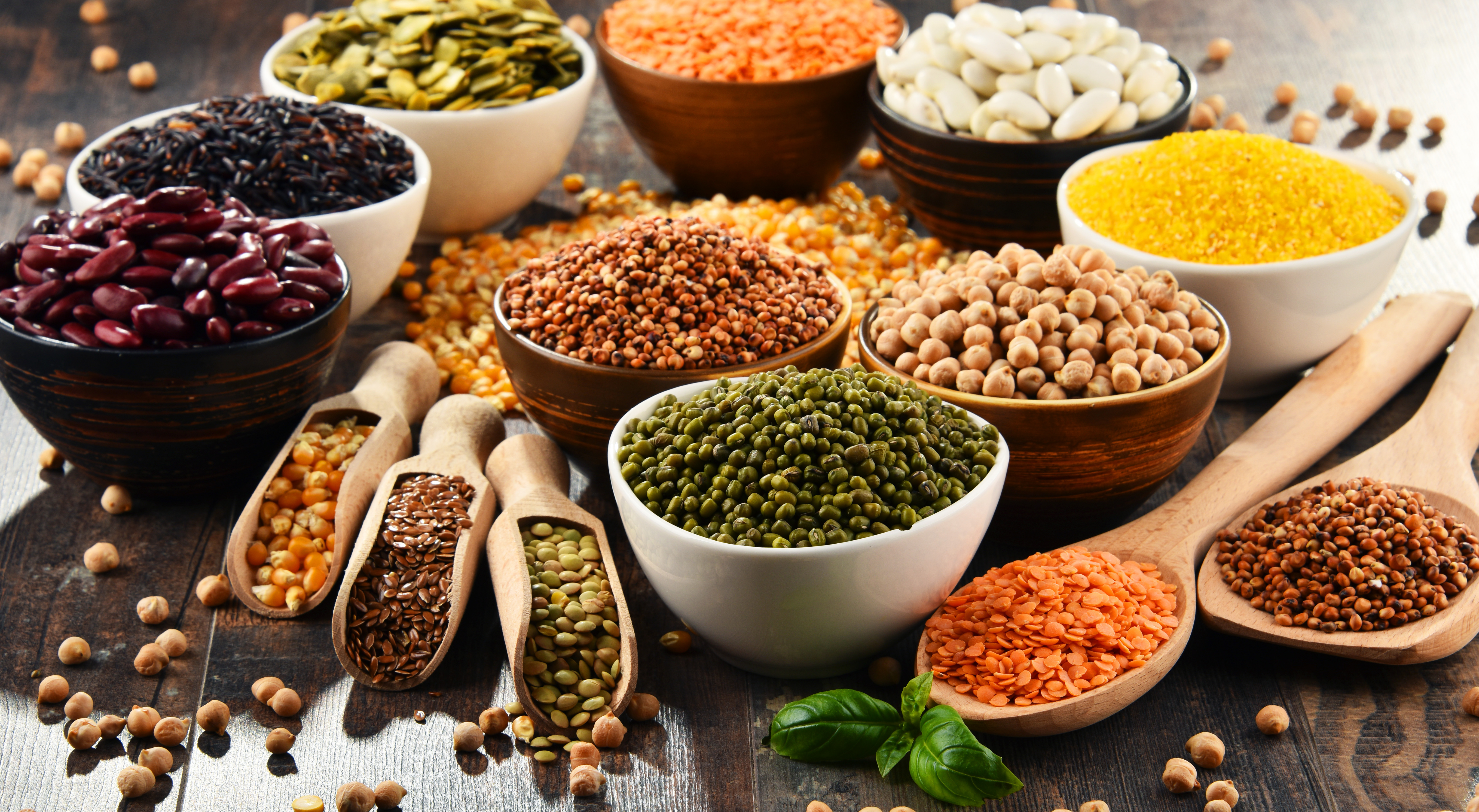 WholisticDish_Legumes