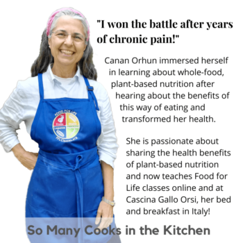 Wholistic Dish_So Many Cooks in the Kitchen_Canan Orhun_Bio_Blog Wholistic Dish_So Many Cooks in the Kitchen_Canan Orhun_Bio_Blog